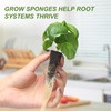 Kratky Method Hydroponic Planter Kit, 8 Hydroponic Planter Plus 24