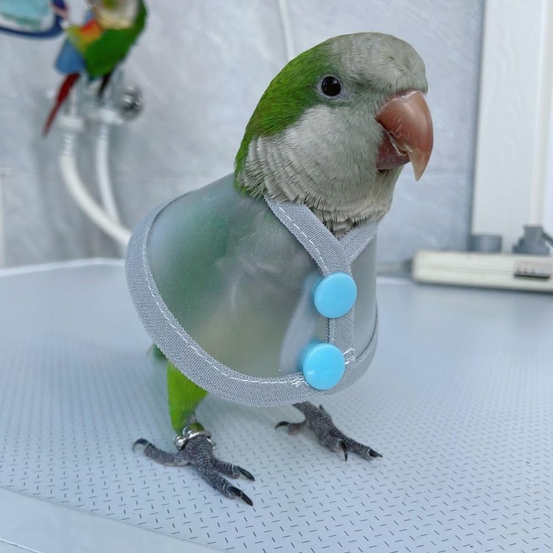 Adjustable Parrot Cone Collar, Safe and Practical Cotton Collar to