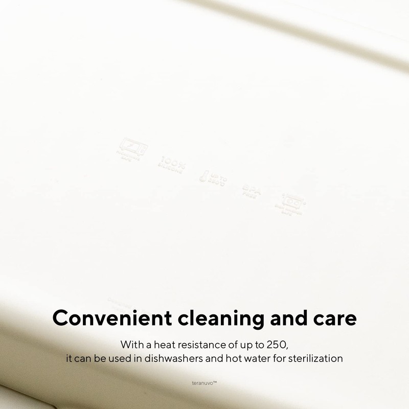 Teranuvo Silicone Oven Tray compatible with BALMUDA The Toaster Oven