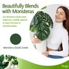 Twigs GA - Stackable Monstera Plant Support Stakes, Climbing Support