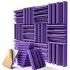 12 Pack Sound Proof Foam Panels for Walls, 12" x