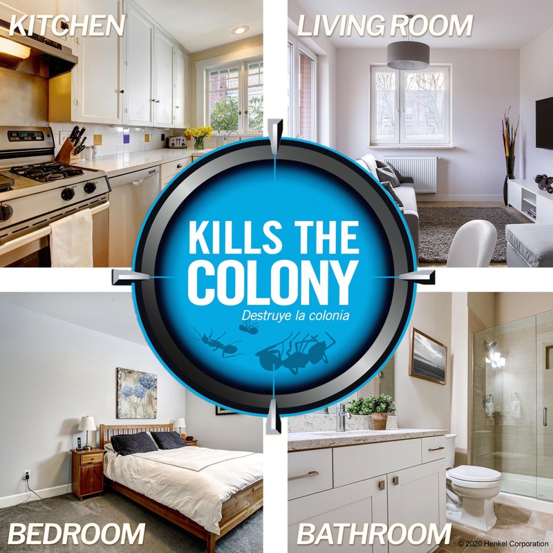 Combat Max Ant Killing Bait Stations, Indoor and Outdoor Use,