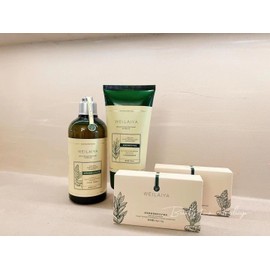 Weilaiya Ginger HAIR LOSS PREVENTION Shampoo - Set of 2 Shampoo