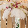 Tigeen 200 Pcs Ostrich Feathers Bulk, 12-14 Inch Large Natural