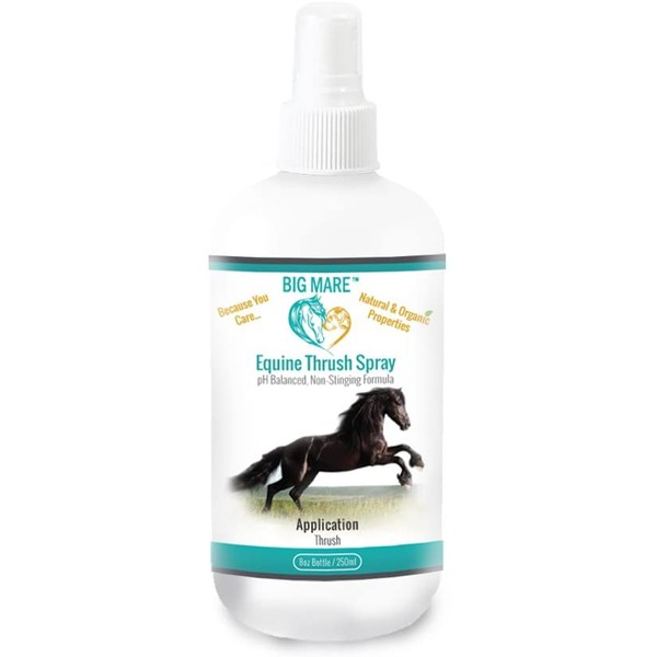 Big Mare Thrush Spray : Clinically Proven Effective On Thrush. No Sting, No Stain Formulation. Veterinary Approved & Recommended.