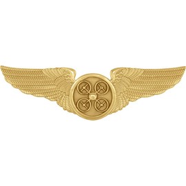 Smith & Warren Drone UAS Pilot Wing Pin 3" Wide, Solid Brass, Gold Finish with Antique Center, Double Clutch Back Attachment, For use on a Uniform Shirt or Coat