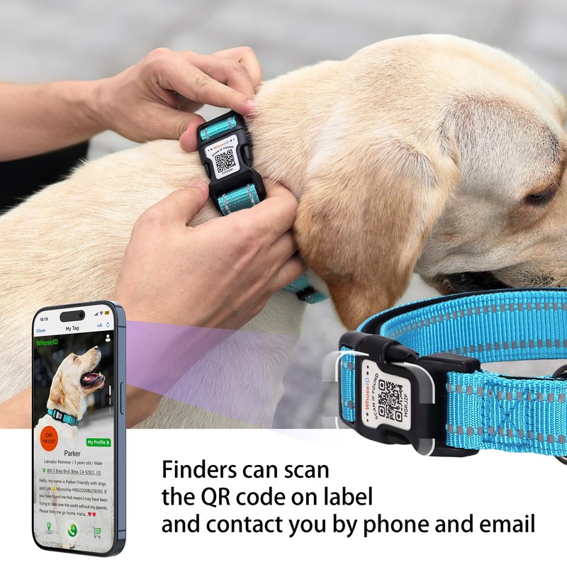Dog Collar with QR Code, Reflective Dog Collar, Soft Neoprene
