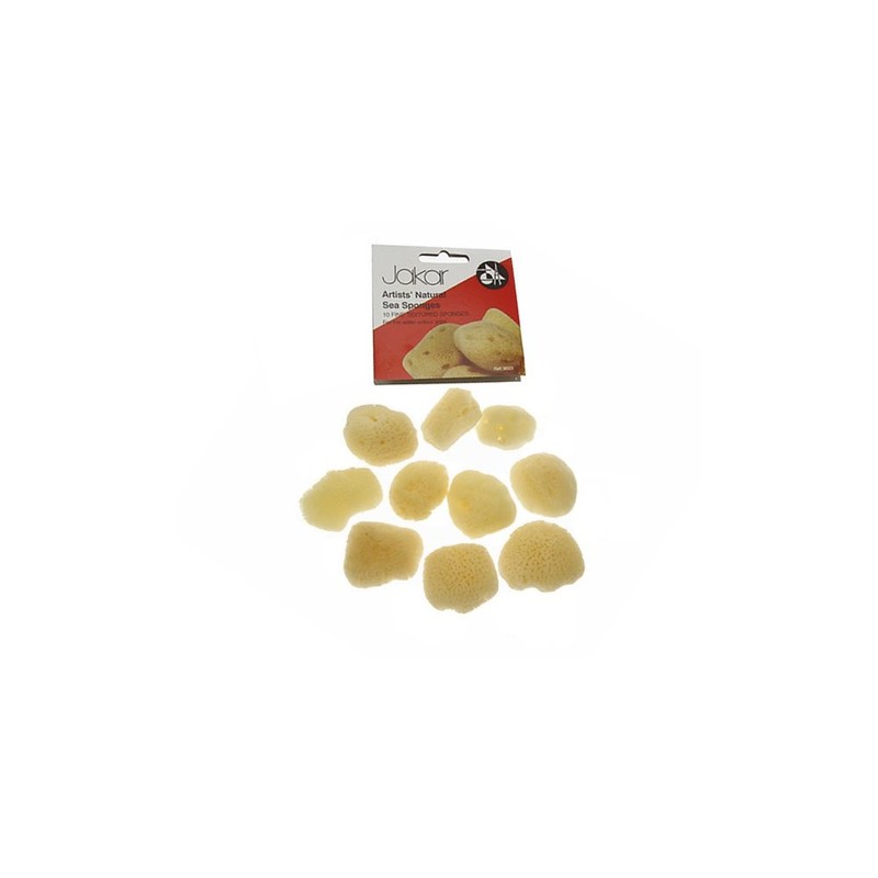 Jakar Artist Natural Sea Sponges (10)