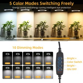 CANMEIJIA 10X Magnifying Glass with Light and Stand,5 Color Modes Stepless Dimmable Clamp on Desk Lamp,2-in-1 Hands-Free Magnifier Lamp for Craft,Painting,Soldering,Hobby,Sewing,Close Work,Reading