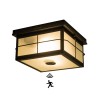 FTL Motion Sensor Outdoor Ceiling Light 2-Lights Flush Mount Ceiling