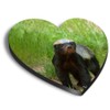 1 x Heart MDF Magnets - Wildlife Animal Honey Badger