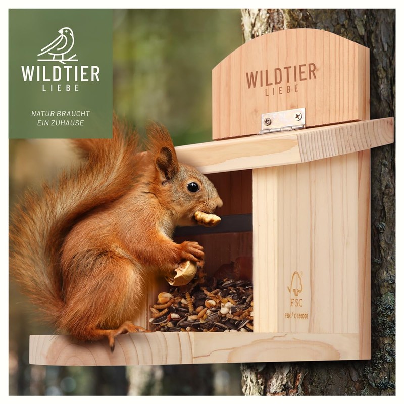 wildtier liebe Squirrel Feeder Weatherproof I Made of Screwed Solid