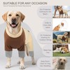 ROZKITCH Dog Sunscreen Shirt X Large UV Protection Shirt for