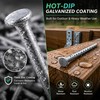 Tandefio 2.2lb 1-1/2" x 10g Joist Hanger Nails Hot Dip