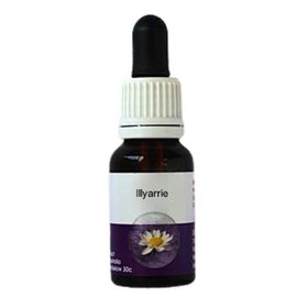 Living Essences Illyarrie 15ml