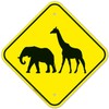 Zoo Animals Crossing with Elephant and Giraffe Graphic Sign, 12x12