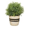Sass & Belle Sgraffito Planter - Black/White