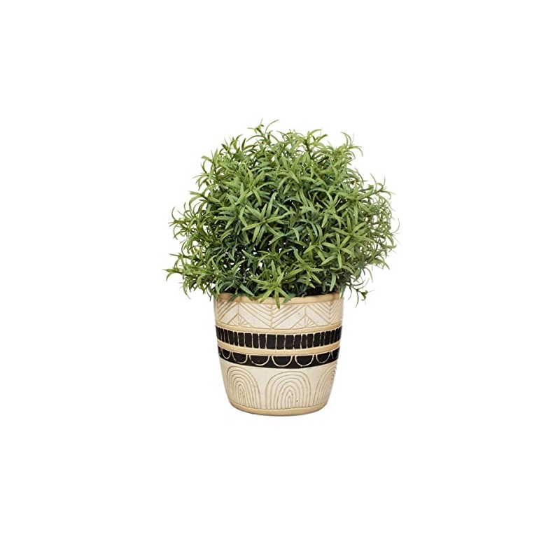 Sass & Belle Sgraffito Planter - Black/White