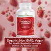 ImmunoPower Organic Probiotics Gummies | 5 Billion CFU Probiotics for