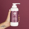 Clever Curl Treatment 450ml