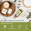 HEYTREE Lemon Eucalyptus Essential Oil - Refreshing Aromatherapy Oil for
