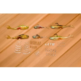 Pro Kit - 6 Lure Starter Set -Pro's Pick for Success