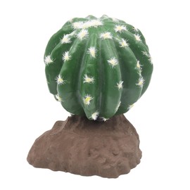 Lucky Reptile Ball Cactus