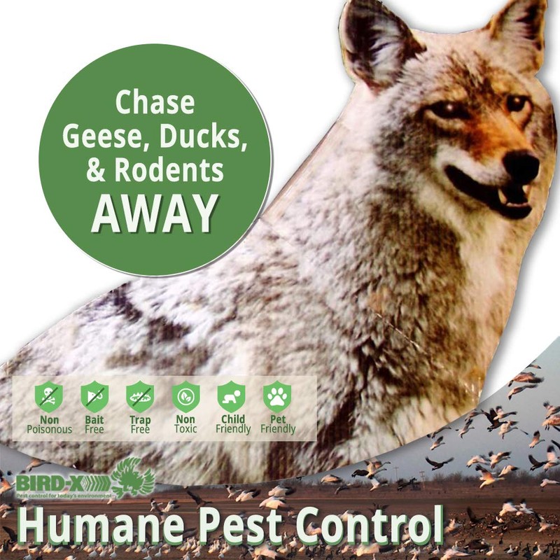 Bird-X Coyote Flat Decoy