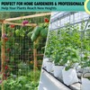 DOLEMODUO 7X 30 Ft Nylon Trellis Netting, 6×6 Heavy Duty
