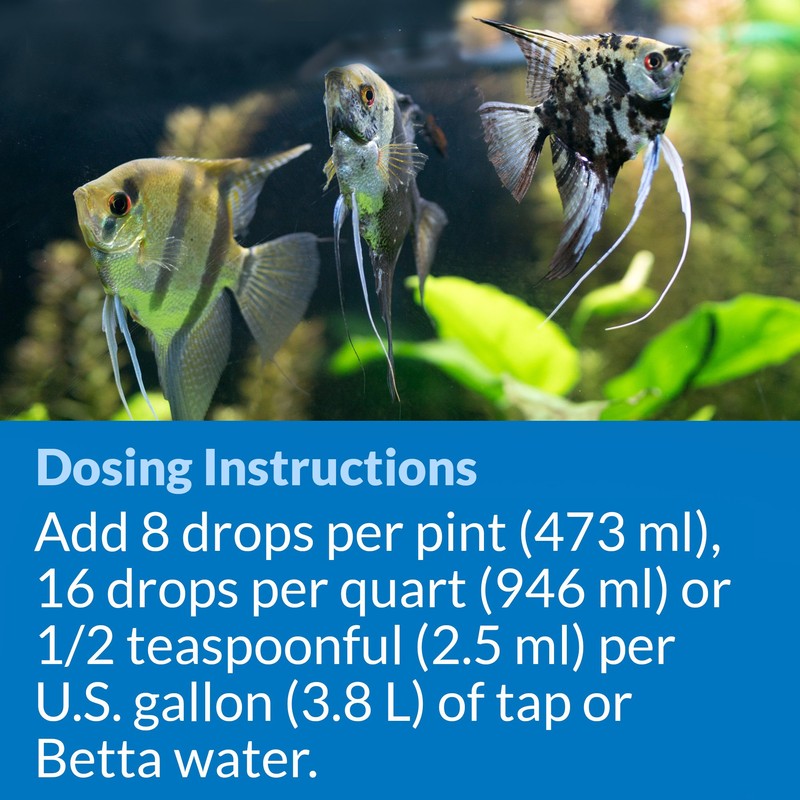 API BETTA WATER CONDITIONER Betta Fish Freshwater Aquarium Water Conditioner