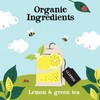 Clipper Organic Lemon Green Tea Bags | 120 Teabags (6x