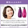 Segreta Shampoo Refill 11.5 fl oz (340 ml)