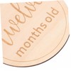 Kisangel 12 pcs Monthly Milestone Signs Wooden Round Markers for