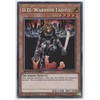 D.D. Warrior Lady - SGX1-ENE04 - Secret Rare - 1st