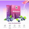 310 Hydrate Electrolyte Powder Pack Of 30 Sugar Free Hydration