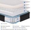 Hotkid,Queen Mattress,10 Inch High Density Foam Hybrid Mattresses in a