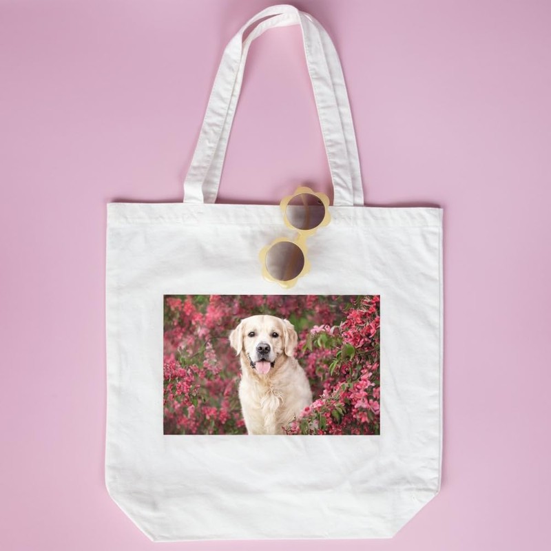 Tulip Photo Transfer Kit for Fabric, All-in-One and Easy to