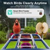 Bird Feeder with Camera, Smart AI Bird Identification & Solar