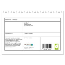 Labrador - Welpen (Tischkalender 2026 DIN A5 quer), CALVENDO Monatskalender: Wandkalender Labrador - Welpen (CALVENDO Tiere)