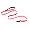 ABJOBIBI Single-Sided Reflective Dog Leash,Padded Handle Nylon Leashes for Medium