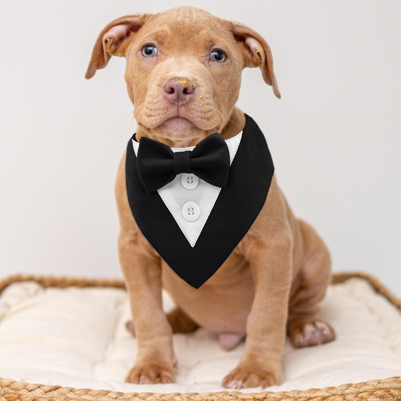 KOOLMOX Tuxedo for Large Dogs Wedding Attire, Black Tux Bow