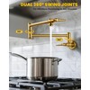 Pot Filler Faucet Brushed Gold: Solid Brass Wall Mount Heavy