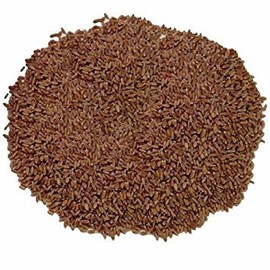Todd's Seeds Hard Red Wheatgrass - 10 Lb's - Plant & Grow Wheatgrass, Flour, Grain & Bread - Wheatgrass Juice - Sprouting Seeds
