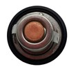 Autu Parts Termostato para Yamaha Grizzly 660 YFM660 2002 2003