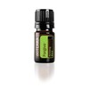 doTERRA Forgive Renewing Blend - 5 mL