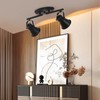 SEEBLEN 2 Light Track Lighting Ceiling, Industrial Directional Ceiling Spot