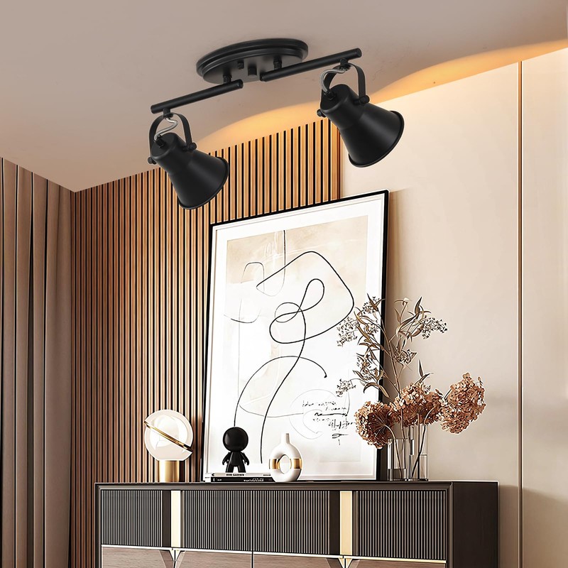SEEBLEN 2 Light Track Lighting Ceiling, Industrial Directional Ceiling Spot
