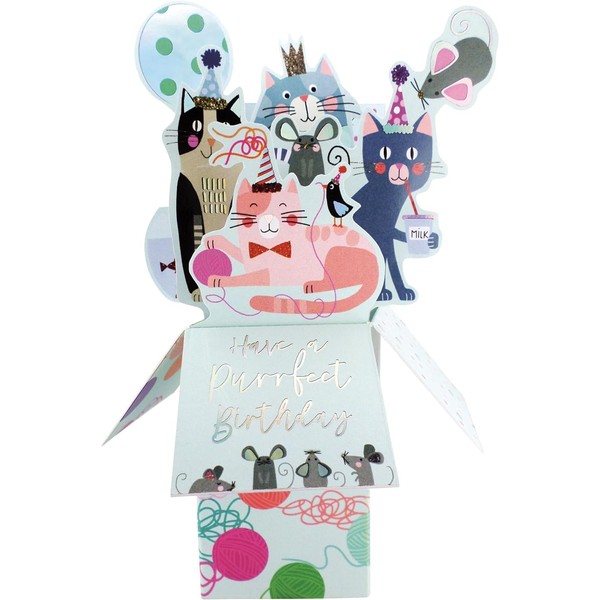 Clever Cube Purrfect Birthday Cat-Tastic Party! Birthday Pop Up Greeting