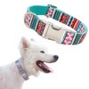 Collar para Perros Extra Grandes con Hebilla de Metal
