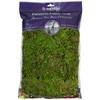 SuperMoss (25322) Forest Moss Preserved, Fresh Green, 8oz